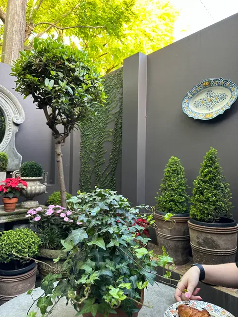 Paddington Alimentari