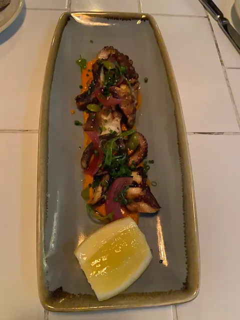 Paddock & Vine