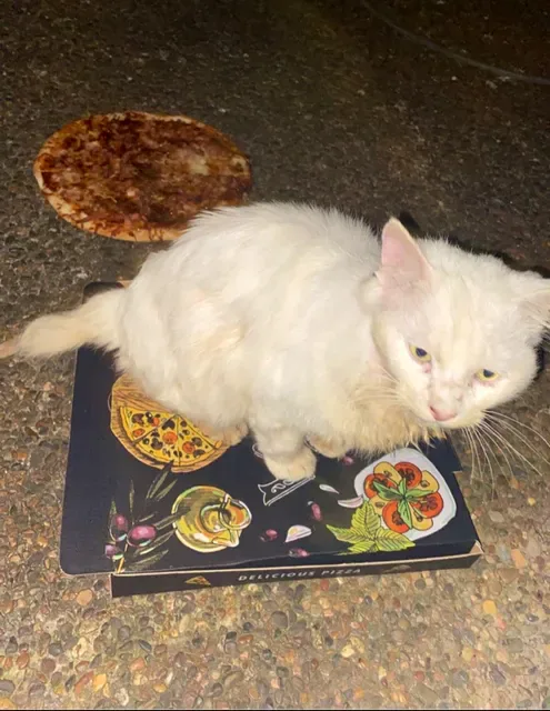 Pizza On Lomond