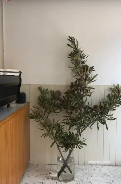 Primary Coffee Potts Point