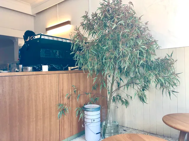Primary Coffee Potts Point