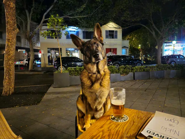 Royal Oak Hotel
