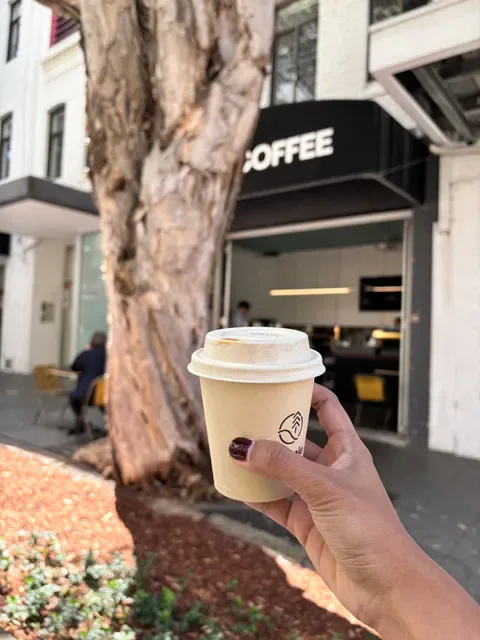Sample Coffee – Surry Hills