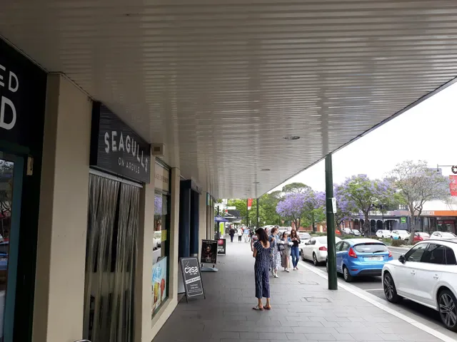 Seagulls On Argyle