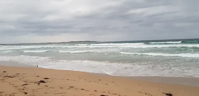 Sealevel