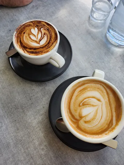 Silver Fox Cafe