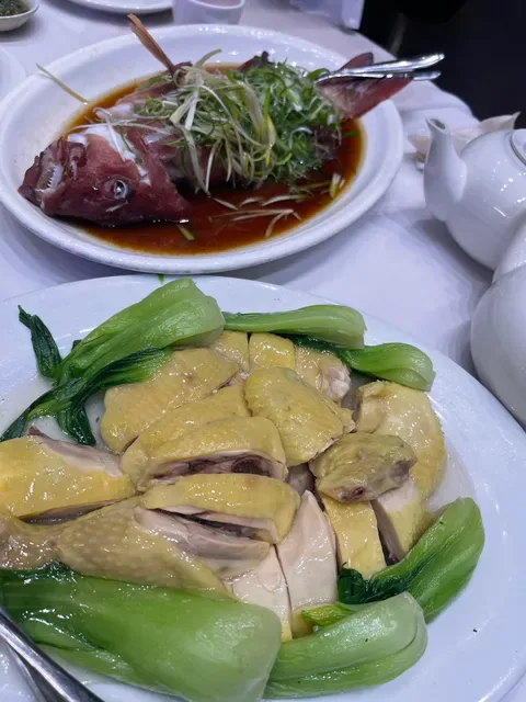 Sunny Seafood Restaurant Mortdale 伟洋海鲜酒楼