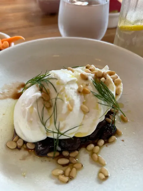 Tempus Katoomba
