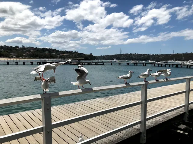 The Boathouse Balmoral Beach