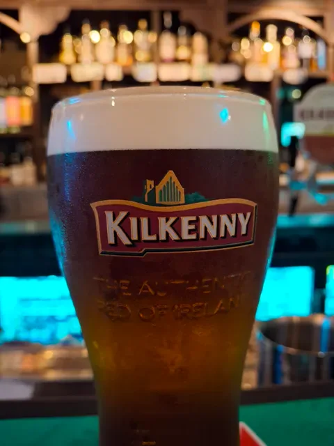 The Dubliner | Irish Pub