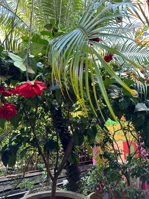 The Grounds of Alexandria