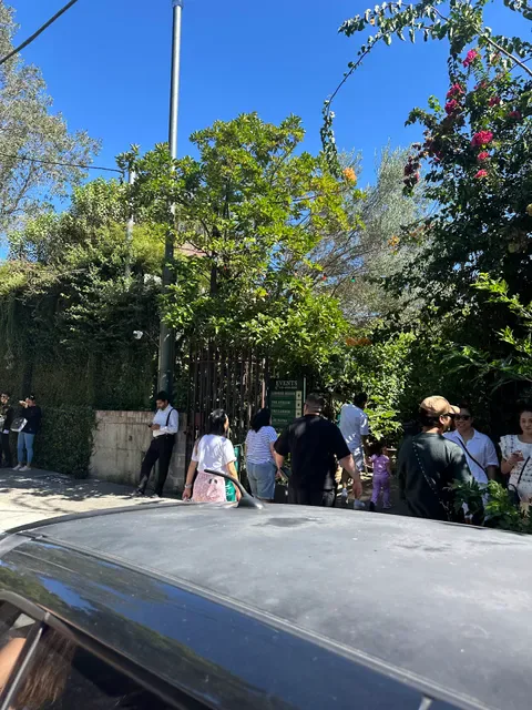 The Grounds of Alexandria