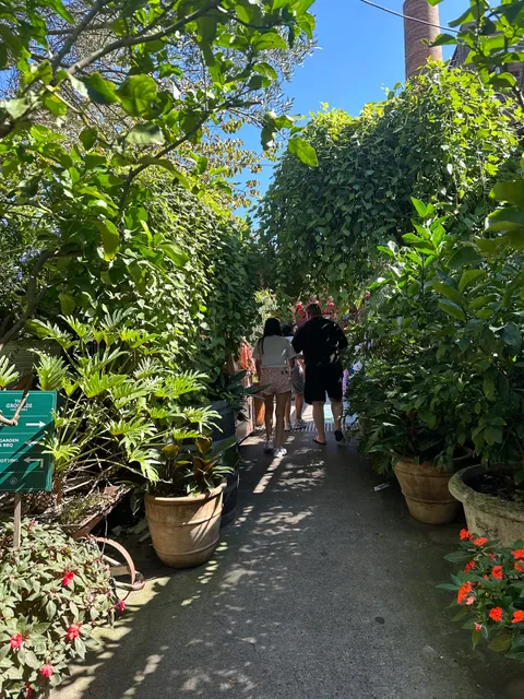 The Grounds of Alexandria