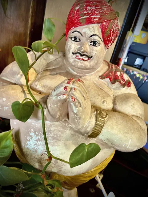The Indian Joint