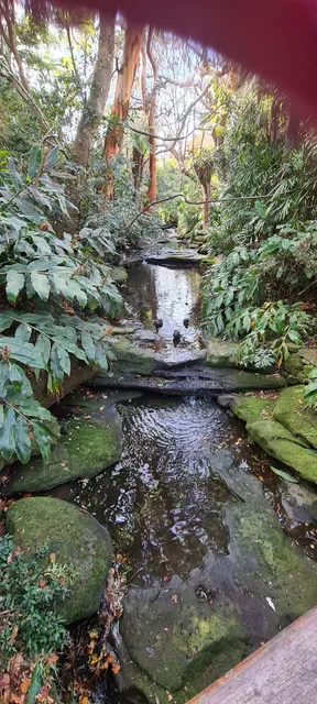 The Jade Teahouse at Camellia Gardens