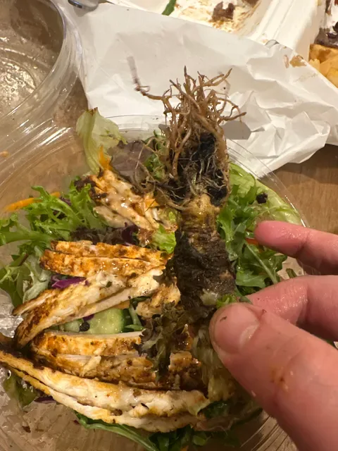 The Kebab Shop