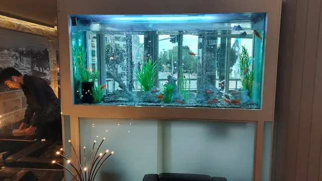 The Little Snail Restaurant