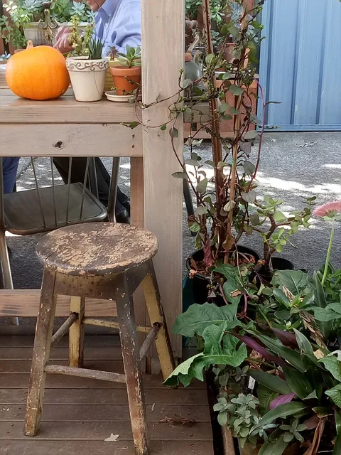 The Monday Morning Cafe