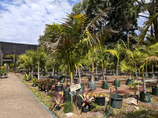 The Palms Sydney