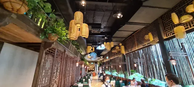 The Panda Yum Cha