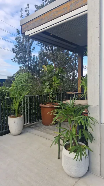 The Prince Kirrawee