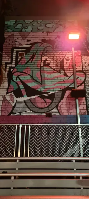 The Vic On The Park