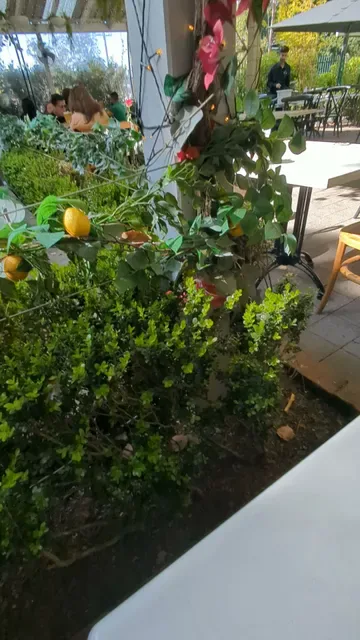 The Vintage Secret Garden