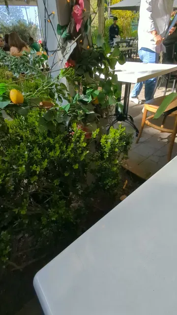 The Vintage Secret Garden