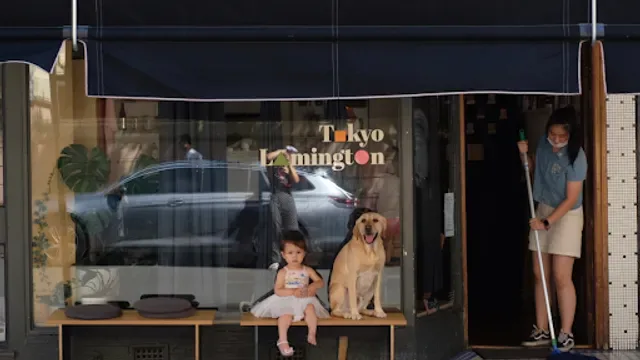 Tokyo Lamington Newtown