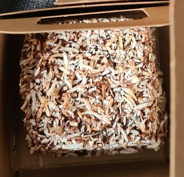 Tokyo Lamington Newtown