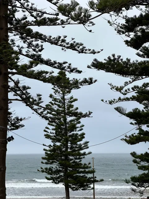 Ullo Dee Why