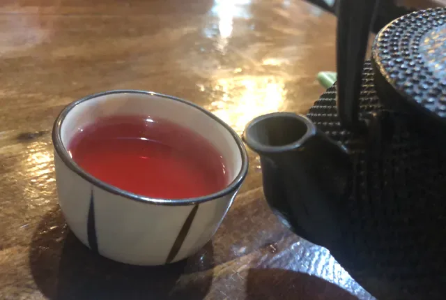 Vina Vegan Restaurant