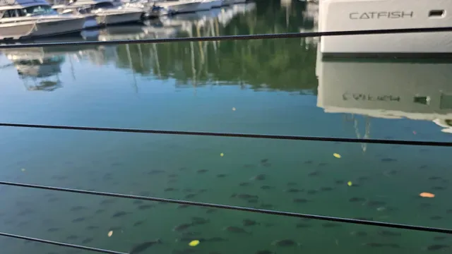 Waterside Bistro - waterfront cafe