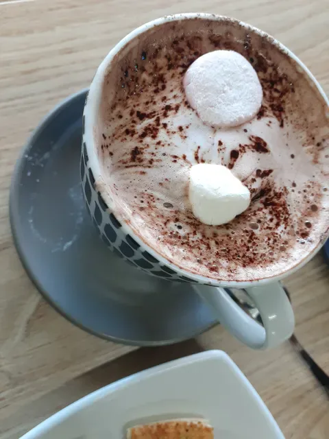 Wikileaks Cafe