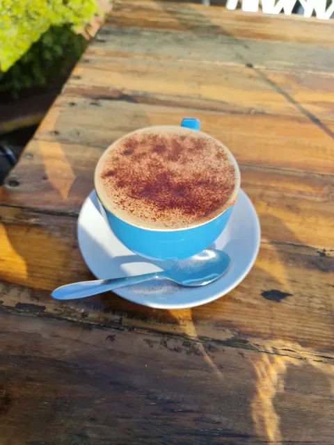 Wild Dragonfly Cafe
