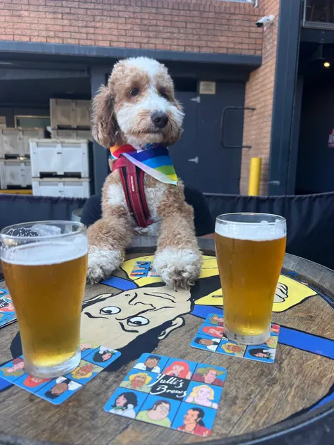 Yulli’s Brews