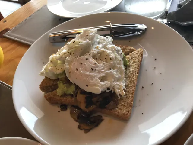 Zeko Mediterranean Cuisine