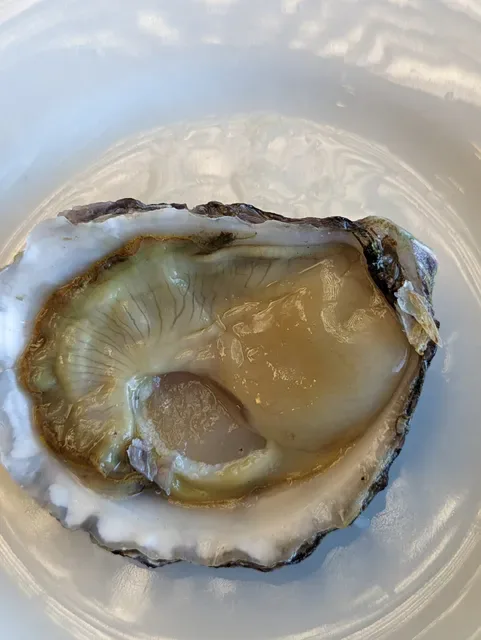 The Oyster Shed