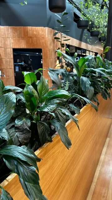 Bellissimo Coffee Bulimba