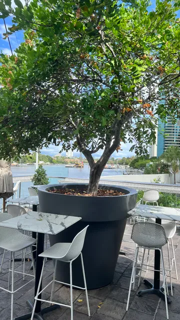 Blackbird Bar, Dining & Events