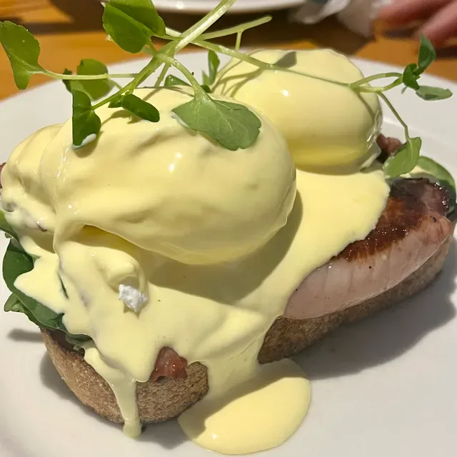 Brown Dog Cafe