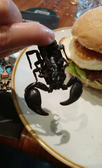Burger Urge (Windsor)
