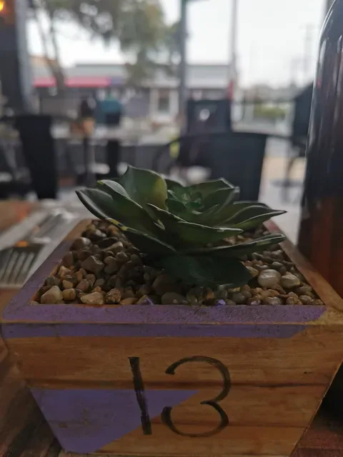 Deedot Coffee House