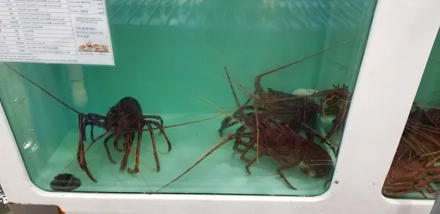 Fish's Seafood Market
