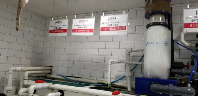 Fish's Seafood Market