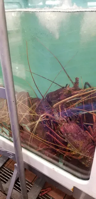 Fish's Seafood Market