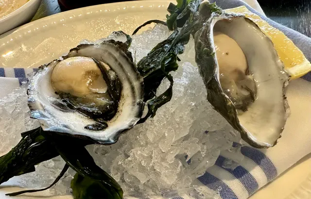 Fosh Bar & Restaurant