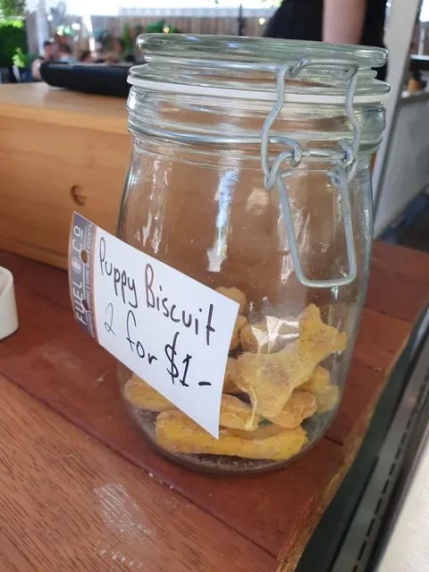Fuel & Co