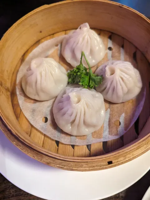 Fusion & Dumplings House