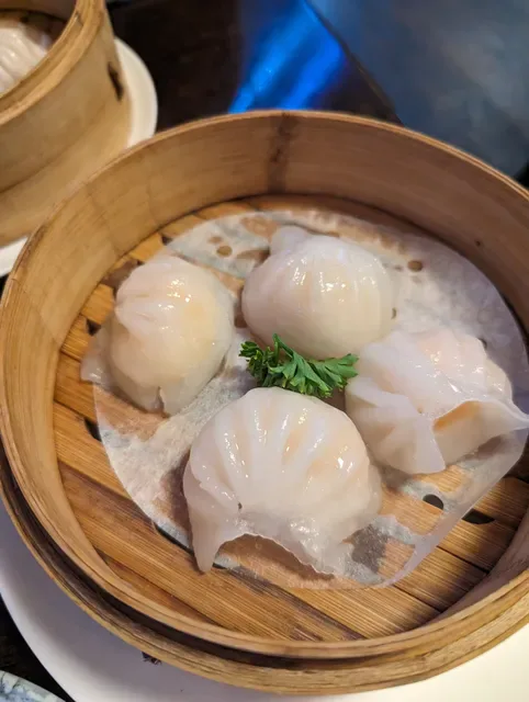 Fusion & Dumplings House